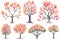 Hand-Drawn Watercolor Tulip Trees Collection: A Forest of Tulip Trees .