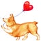 Hand drawn watercolor with Valentine Corgi. Happy Valentine`s Day.