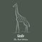 Hand Drawn White Giraffe Silhouette Isolated on Dark Background