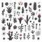 Hand drawn wild cactus flowers, tropical succulent plants set