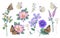Hand Drawn Wild Flowers  and Butterflies Set