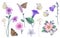 Hand Drawn Wild Flowers  and Butterflies Set