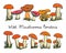 Hand drawn wild mushrooms