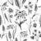 Hand-drawn wildflowers background design. Vintage woodland flowers sketches. Seamless spring pattern. Forest plant and wild