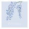 Hand drawn wisteria flower illustration