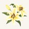 Hand drawn yellow blooming lily flower in watercolour isolated on pale background