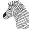 Hand drawn zebra zentangle style for coloring book,tattoo,t shirt design,logo