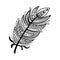 Hand drawn zentangle feather