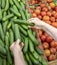 Hand of an elderly woman picking green cucumbers