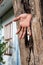 A hand emerged from a wooden hole near the house