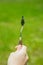 The hand of a European artist holds a mastekhin smeared in oil paint against the background of a green lawn. Blurred background.