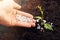 Hand of a farmer giving fertilizer to new green plant in soil