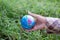Hand Farmer holding Globe on blur green grass backgrond.