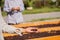 Hand of farmer holding raisin with drying board in sunlight vineyard background