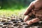 Hand of farmer planting seeds in soil in nursery tray