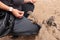 Hand feeding of the Barbary ground squirrel . Fuerteventura. Canary Islands. Spain