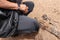 Hand feeding of the Barbary ground squirrel . Fuerteventura. Canary Islands. Spain.