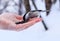 Hand feeding a black-capped chickadee sunflower seeds