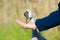 Hand Feeding a Sandhill Crane