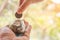 Hand of female putting coins in jar