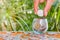 Hand of female putting coins in jar with money stack step growing growth saving money.