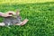 Hand female stroking small grey domestic rabbit outdoor