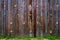 Hand and footholds on a wooden outdoor climbing wall