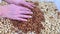 Hand Full of Mixed Nuts Over More Nuts in the Background on Black Table. Selective Focus on Hand. Top View.