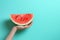 Hand gently holding a cut watermelon slice on a monochrome background