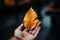 Hand gently holds a golden leaf, a symbol of autumn\\\'s fleeting beauty