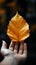 Hand gently holds a golden leaf, a symbol of autumn\\\'s fleeting beauty