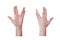 Hand gesture for the Vulcan salute or greeting