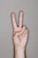 Hand Gesturing Peace Sign