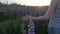 Hand girl touches purple flowers in a beautiful field at sunset. Slow motion