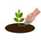 Hand giving fertilizer to young plant vector