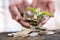 Hand giving a golden coin to a tree growing from pile of coins,  green businessTree growing from pile of coins