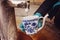 Hand in glove filling a cup with therapeutic mineral water at a natural hot spring in Karlovy Vary