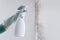 Hand with glove and spray bottle isolated on wall with mold. Eliminate Mold with Specialized Anti-Mold Products. Search cleaning