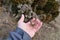 Hand with gold ring holding weed or wildflower seed