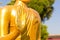 Hand of golden buddha statue