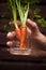 Hand grabing fresh baby carrot in glass.