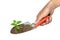 Hand grip a gardening trowel and plant on a isolate.