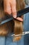 Hand of hairdresser trimming hair with scissors