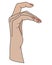 Hand. Hand with bent fingers - vector full color illustration. Graceful female hand with a neat manicure.