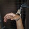 Hand in handcuffs, fastened to the prison lattice