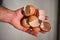 Hand with a handful of broken eggshells