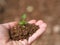 Hand held soil and newly opened plant