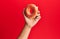 Hand of hispanic man holding donut over isolated red background