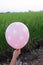 Hand hold blank pink white dots balloon mock up isolated. Baloon mockup art design.