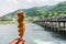 Hand hold chicken stick with Togetsu-kyo Bridge in the background